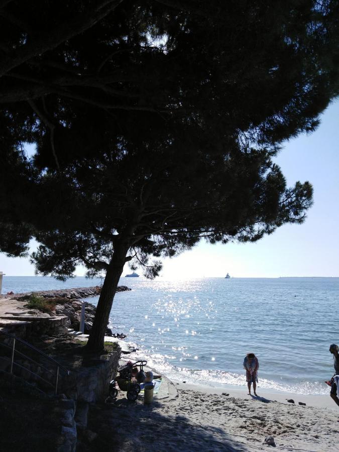Le Palais Du Tropique Appartement Vue Mer 5E Etage Avec Ascenseur Juan-les-Pins Kültér fotó